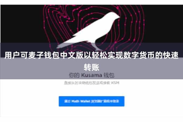 用户可麦子钱包中文版以轻松实现数字货币的快速转账