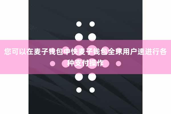 您可以在麦子钱包中快麦子钱包全球用户速进行各种支付操作