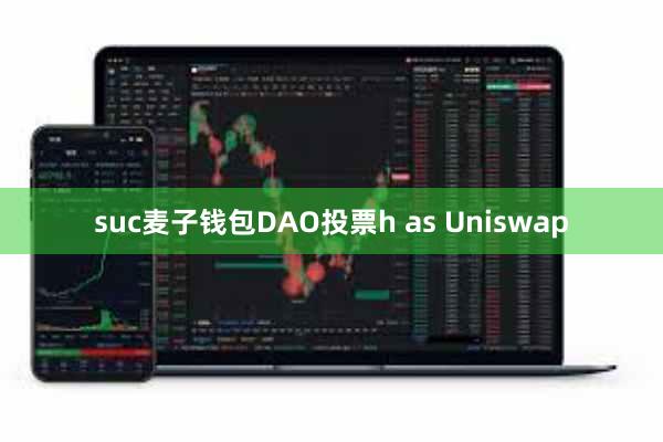 suc麦子钱包DAO投票h as Uniswap
