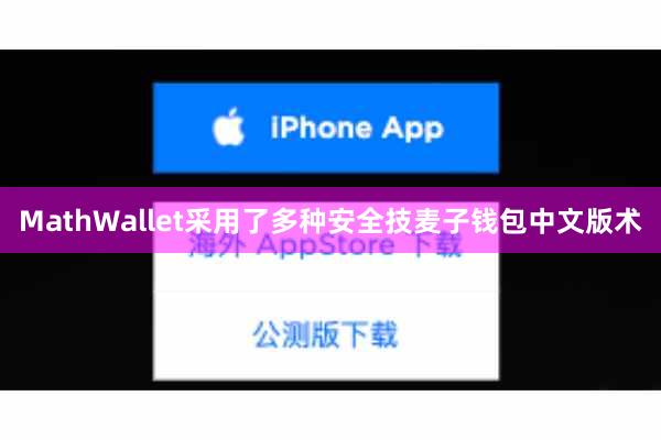 MathWallet采用了多种安全技麦子钱包中文版术