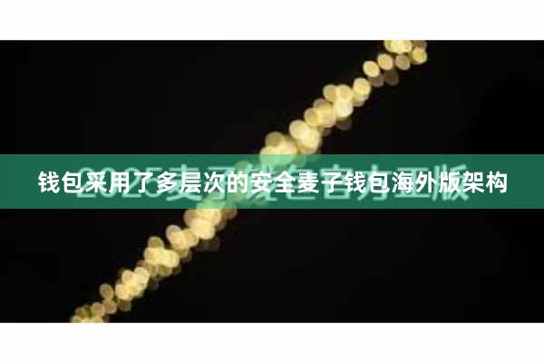 钱包采用了多层次的安全麦子钱包海外版架构