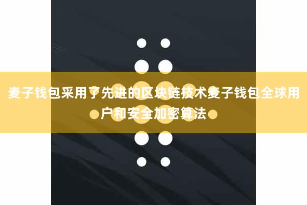 麦子钱包采用了先进的区块链技术麦子钱包全球用户和安全加密算法