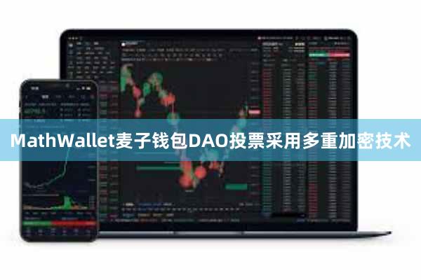 MathWallet麦子钱包DAO投票采用多重加密技术