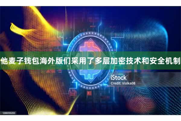 他麦子钱包海外版们采用了多层加密技术和安全机制