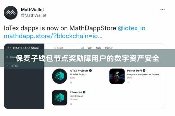 保麦子钱包节点奖励障用户的数字资产安全